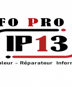 taille differente LOGO INFO PRO 13