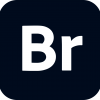 Adobe Bridge Pro 2025