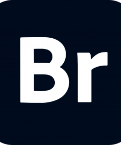 Adobe Bridge Pro 2025