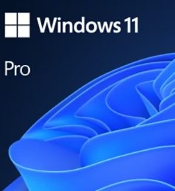 Windows 11 Professionnel